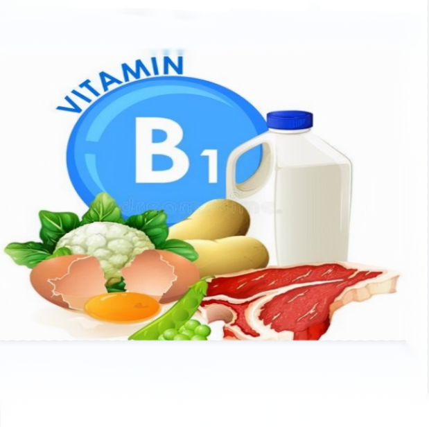La fonction physiologique de la vitamine B1
